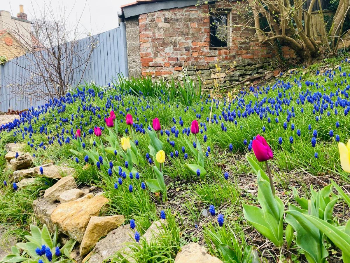 Cosy Cottage Four Miles From Lincoln City Centre Экстерьер фото