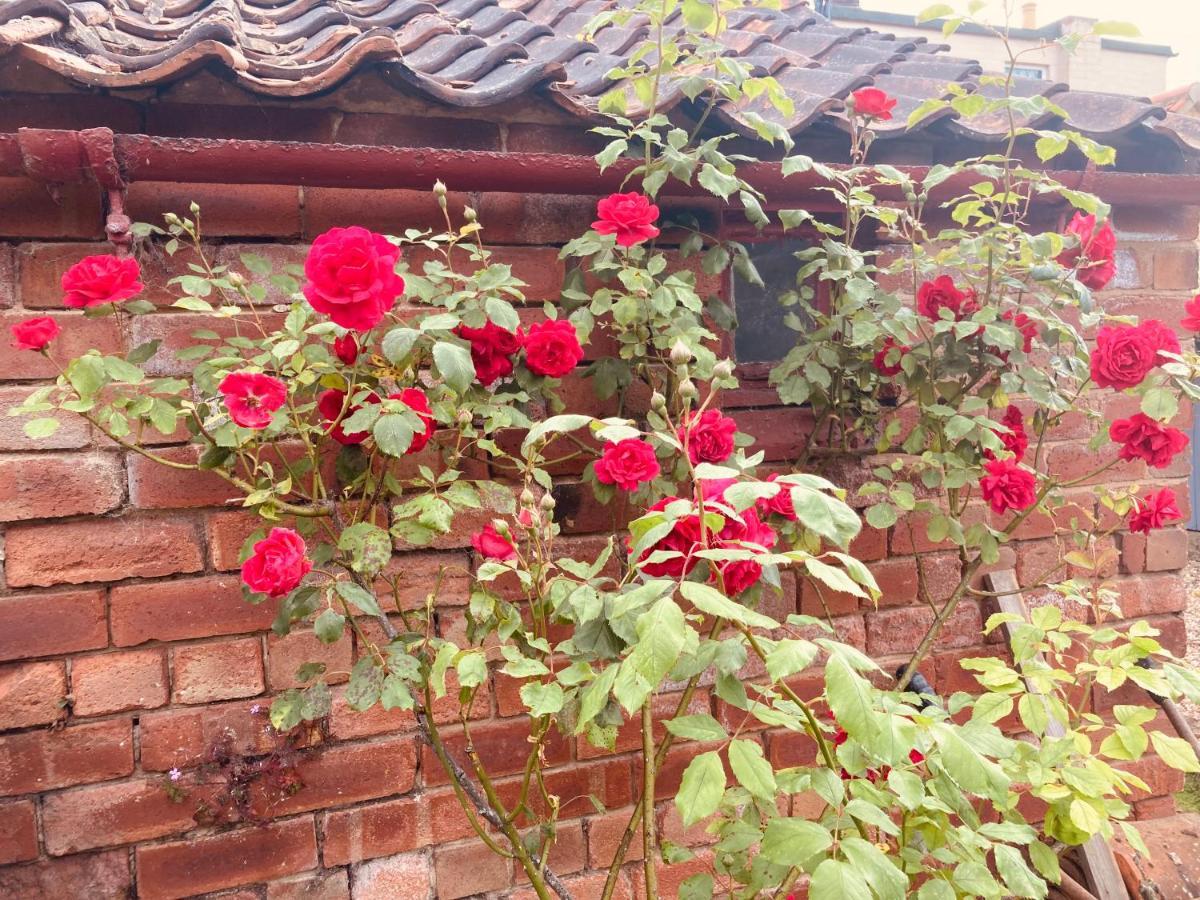 Cosy Cottage Four Miles From Lincoln City Centre Экстерьер фото